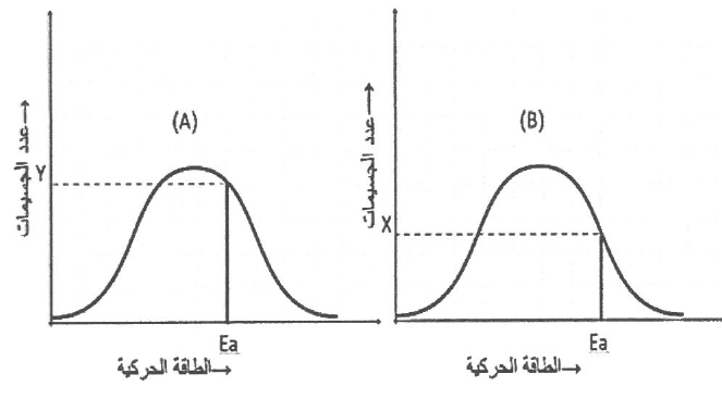 شكل السؤال ٢٨