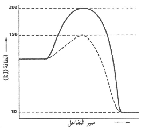 شكل السؤال ٣١