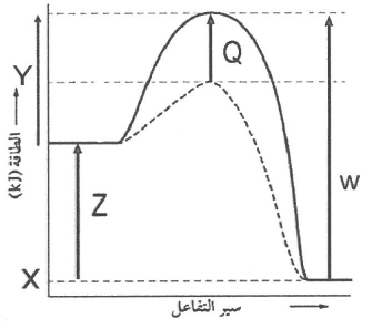 شكل السؤال ٣٦
