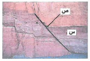 شكل السؤال ١٠