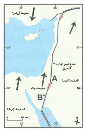 شكل السؤال ١٦