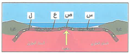 شكل السؤال ٢٠